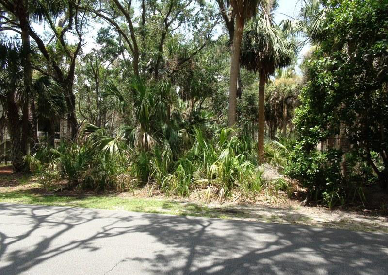 Lots and Property for Sale on Fripp Island — Fripp Island Real Estate
