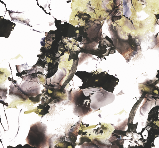 Screen Shot 2019-05-02 at 1.12.35 PM.png