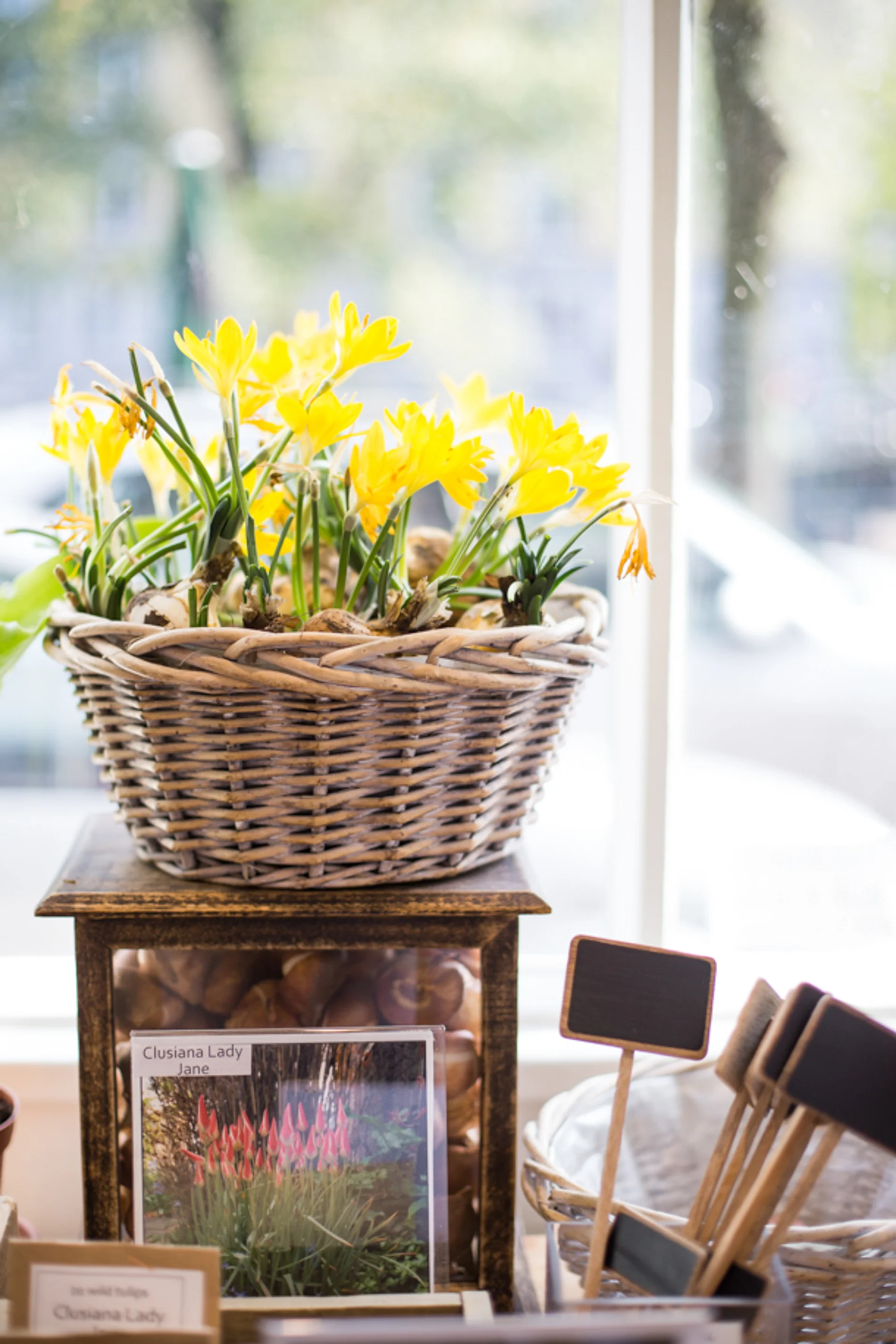 Heather Bullard | Amsterdam
