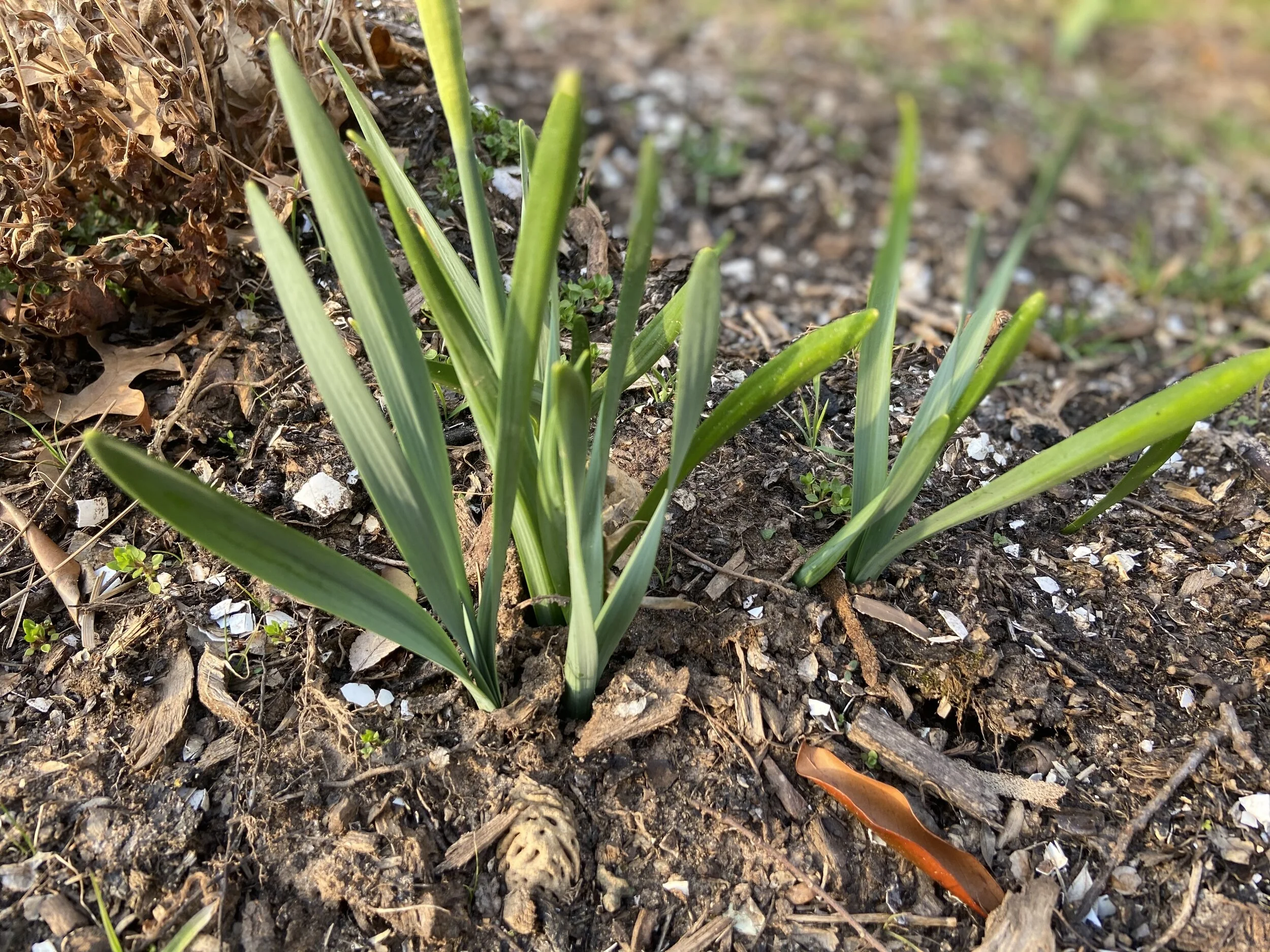 Digging into the Past, Looking Toward the Future