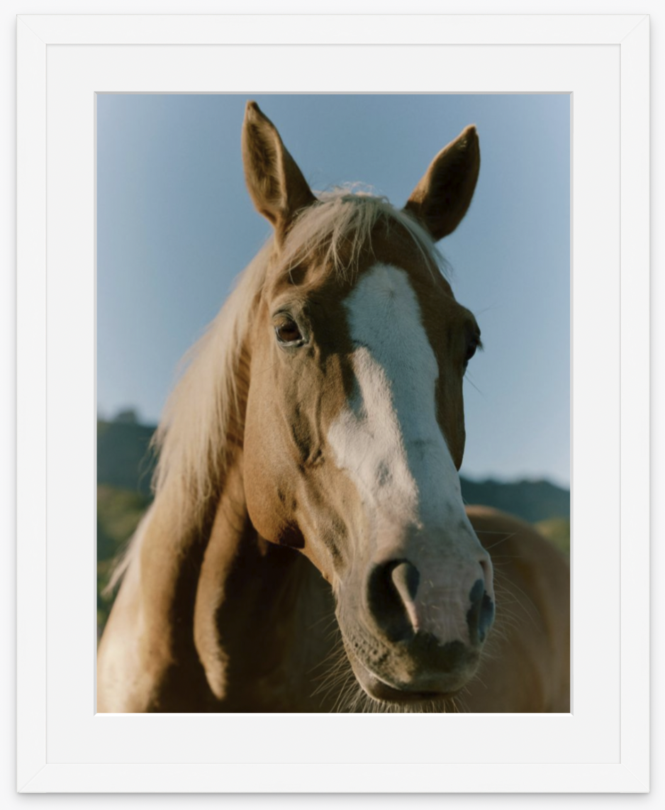 WHITE FRAME.png