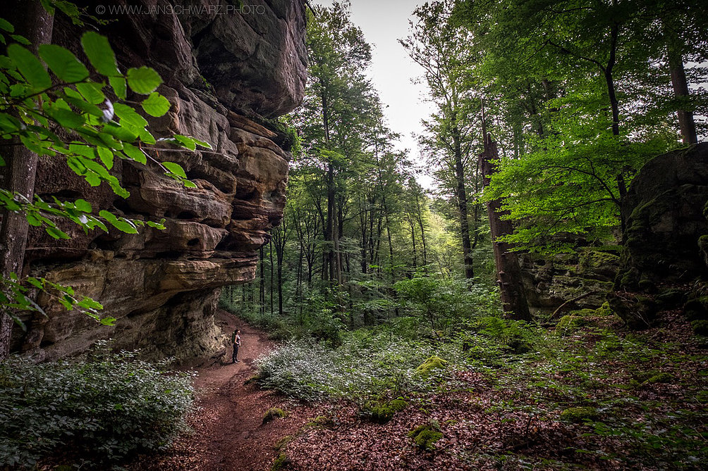 Putting people in your photos helps to give some dimension to a scene.