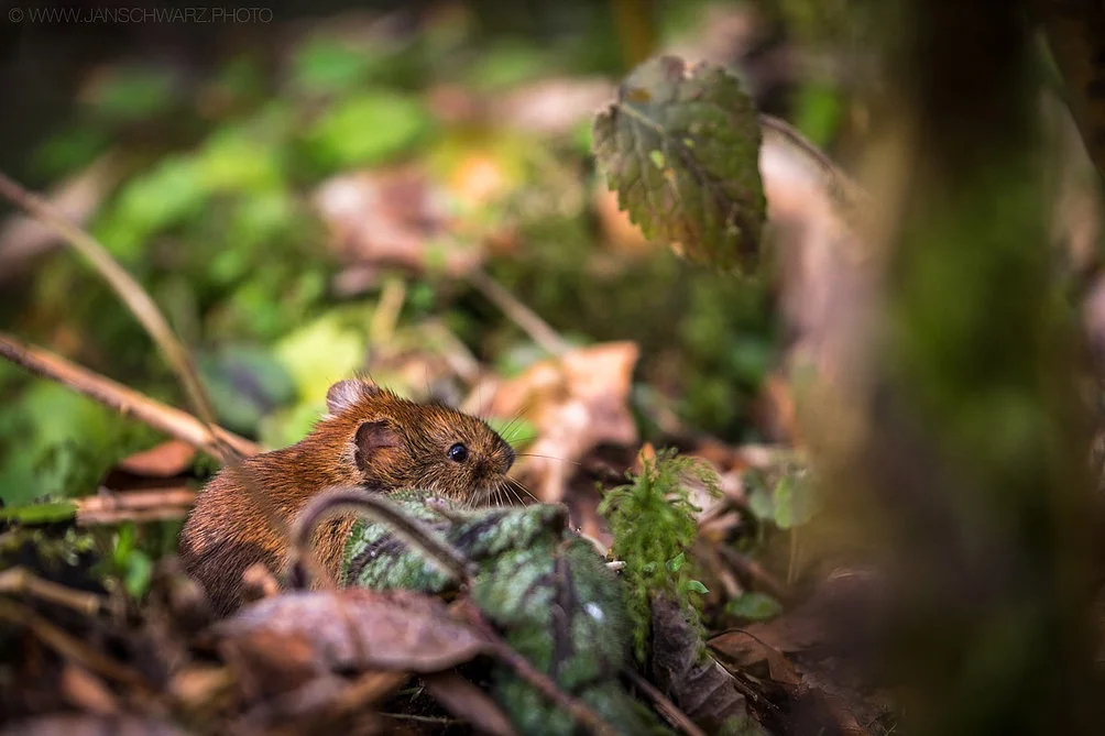 If you only look in frontof you, you're going to miss a lot!