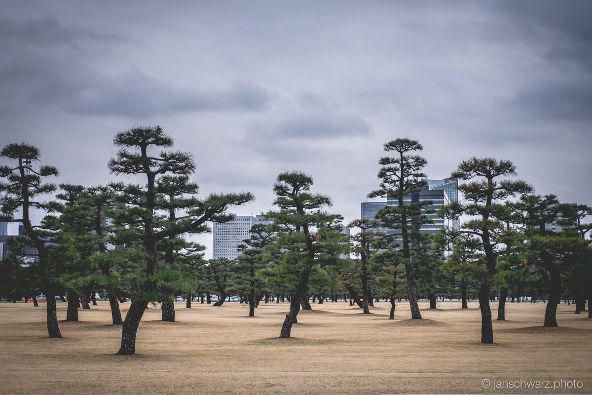 tokyo_180320_066.jpg