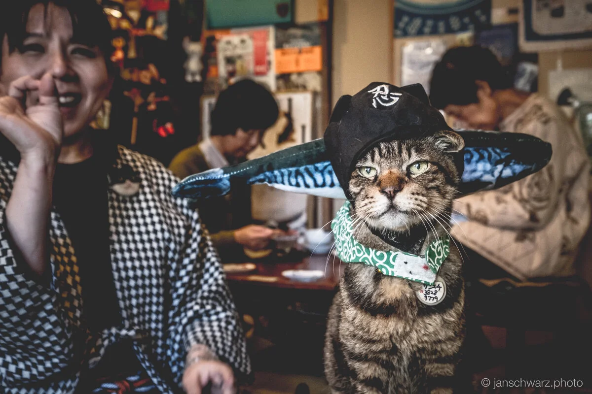 tokyo_180323_239.jpg