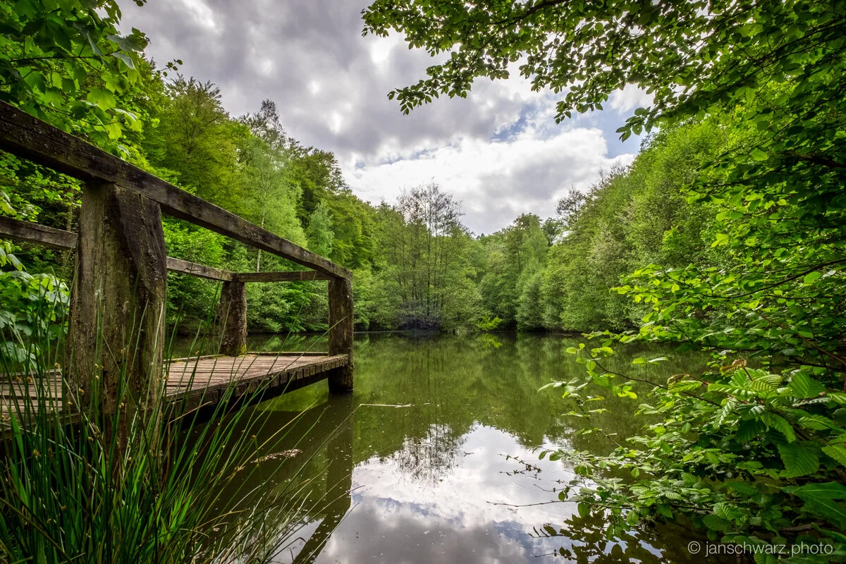 mullerthal_150517_032.jpg
