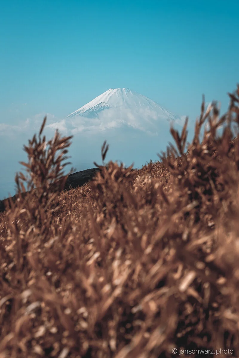 tokyo_180312_147.jpg