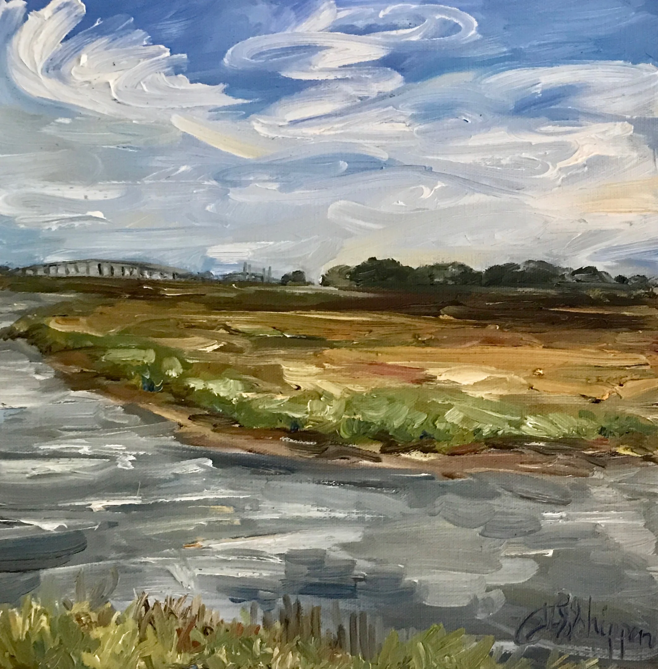 Marsh at Fort Frederica, St Simons
