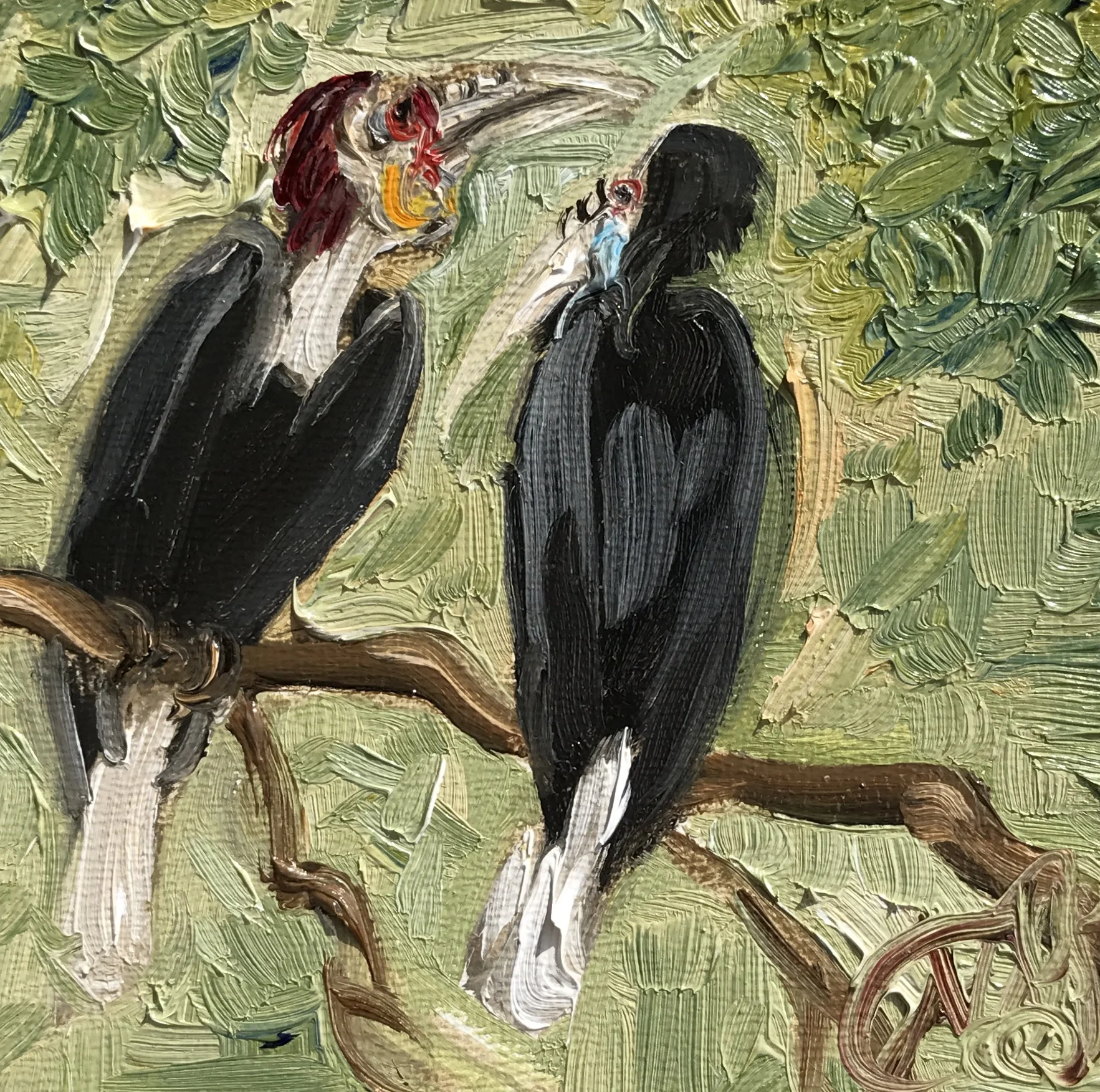 Wreathed Hornbills at Zoo Atlanta