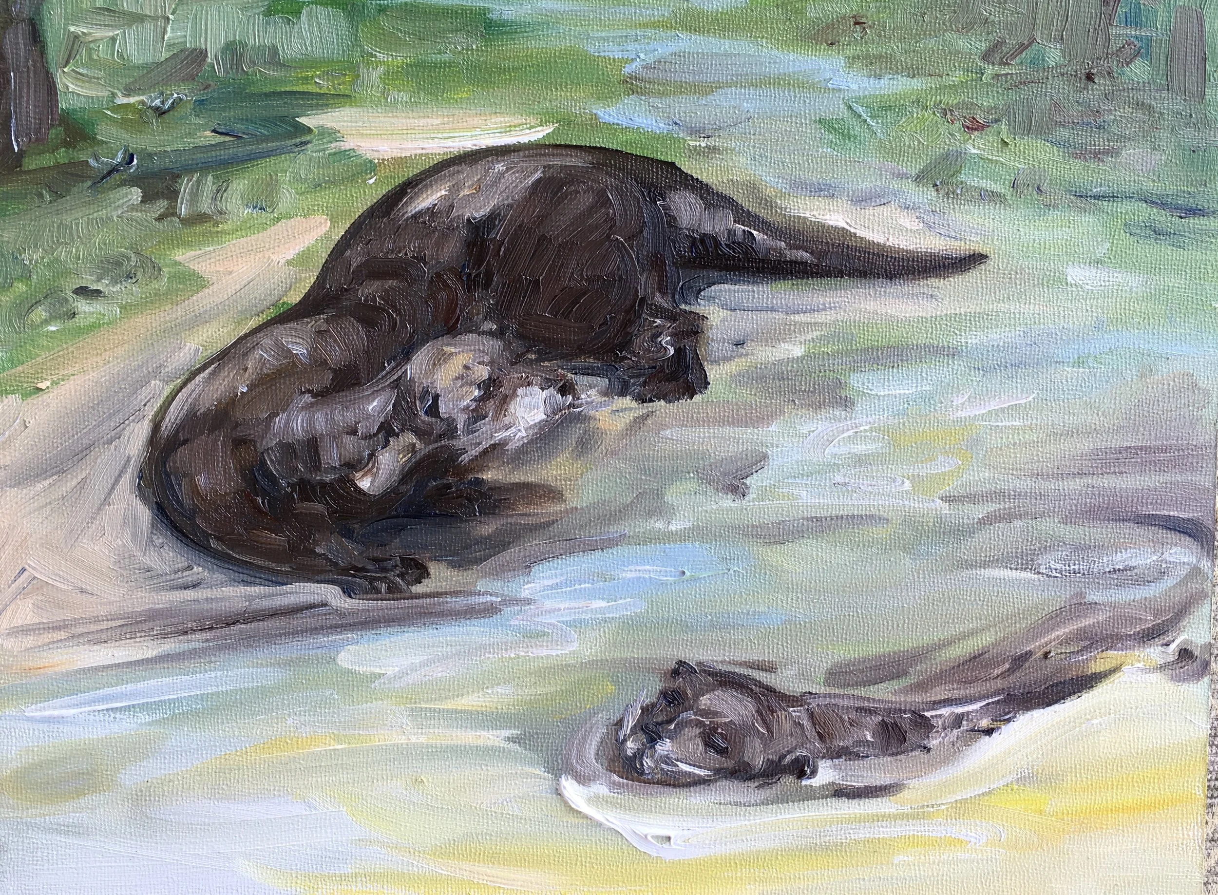 Otters at Play
