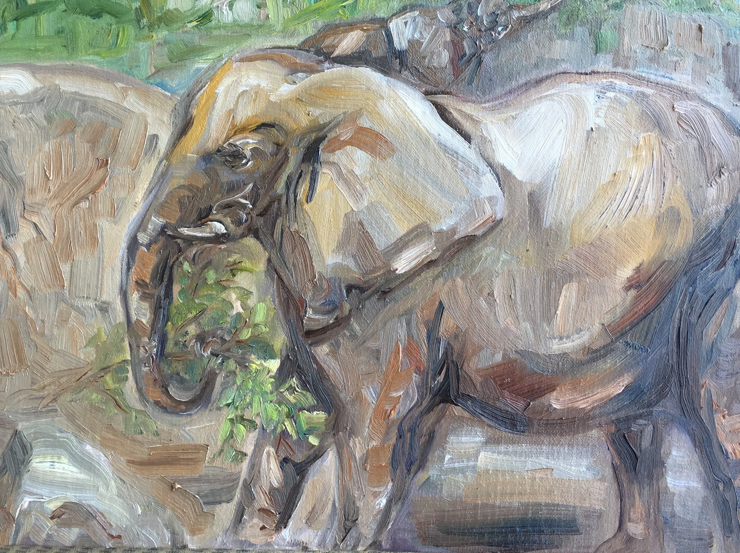 Tara - Elephant at Zoo Atlanta