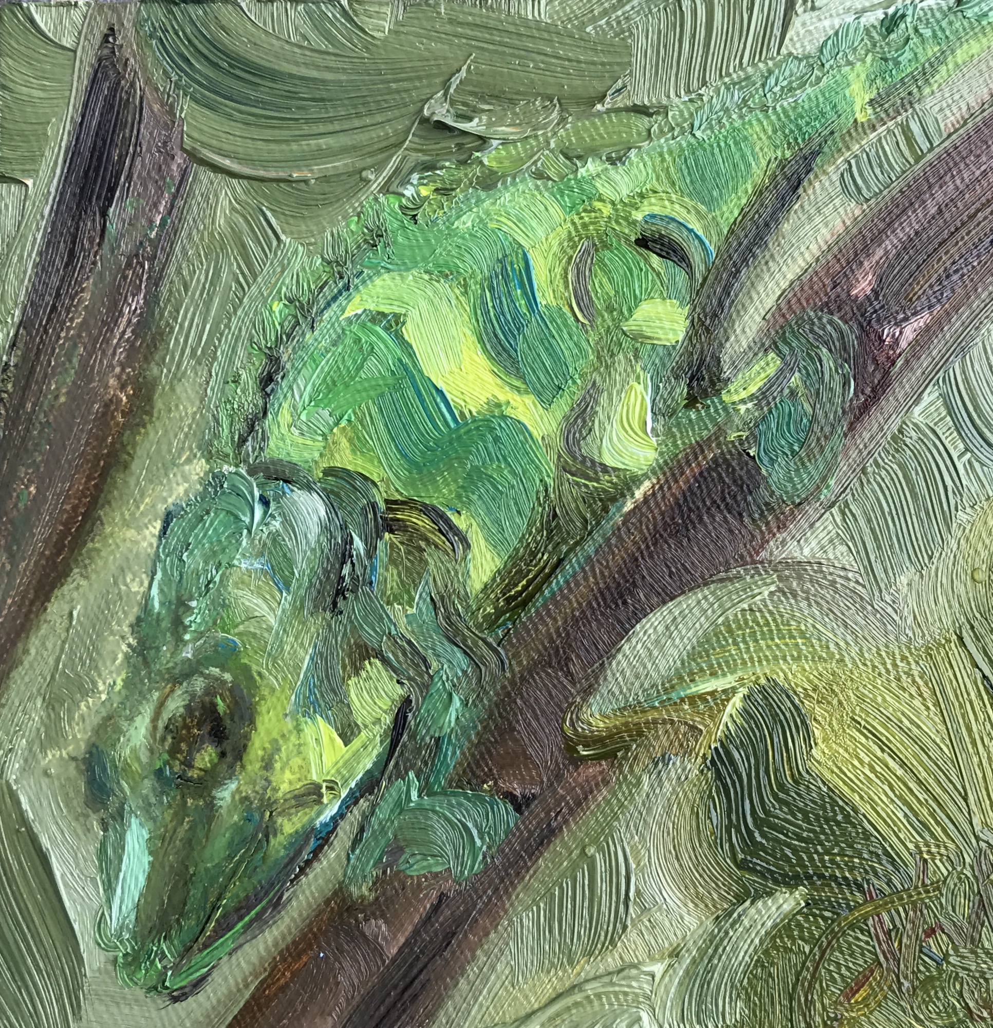 Chameleon at Zoo Atlanta, 4" x 4", oil on panel