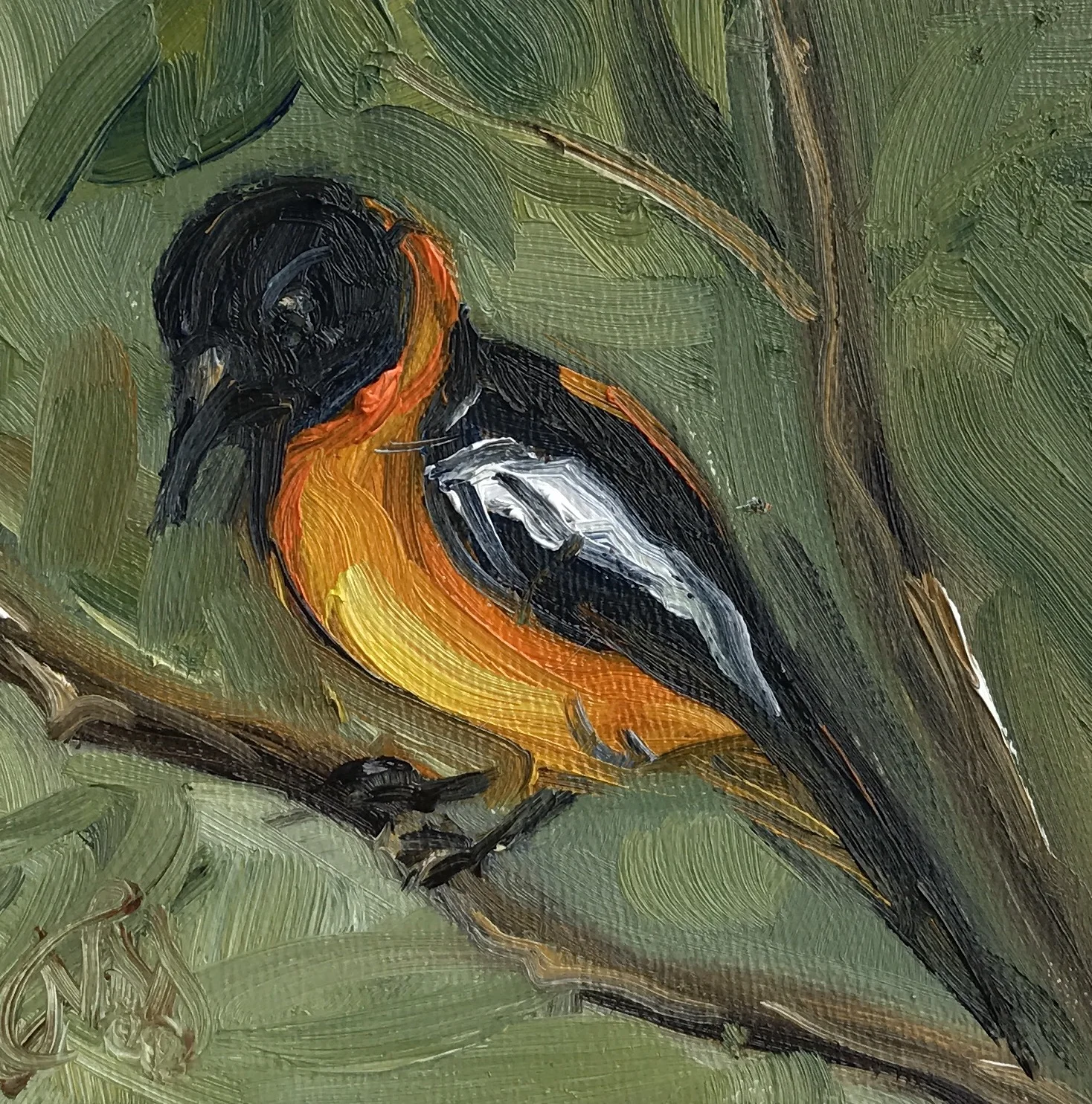 Venezuelan Turpial, 4" x 4", oil on panel