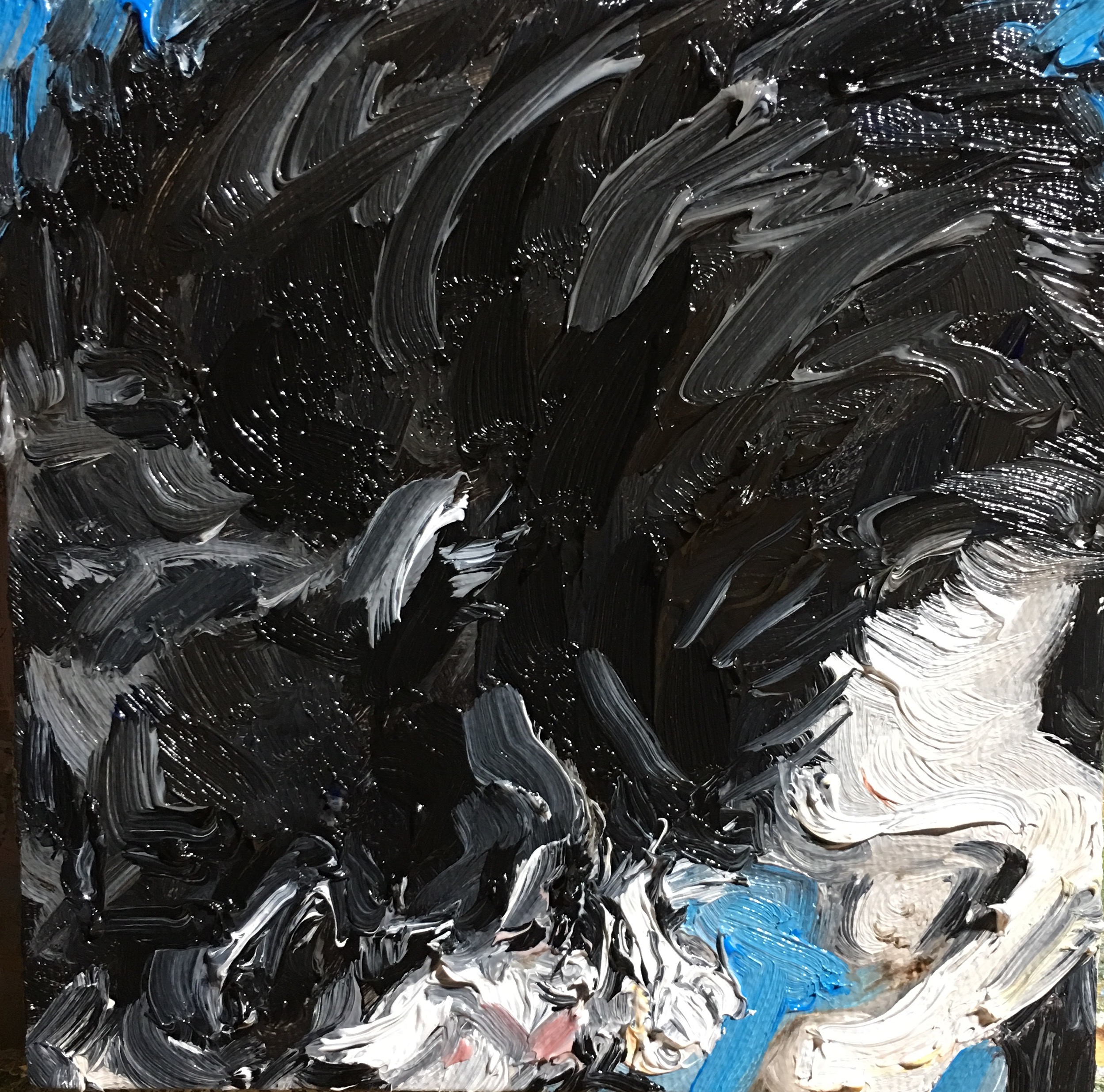 Moe in a Box, 4" x 4", oil on panel