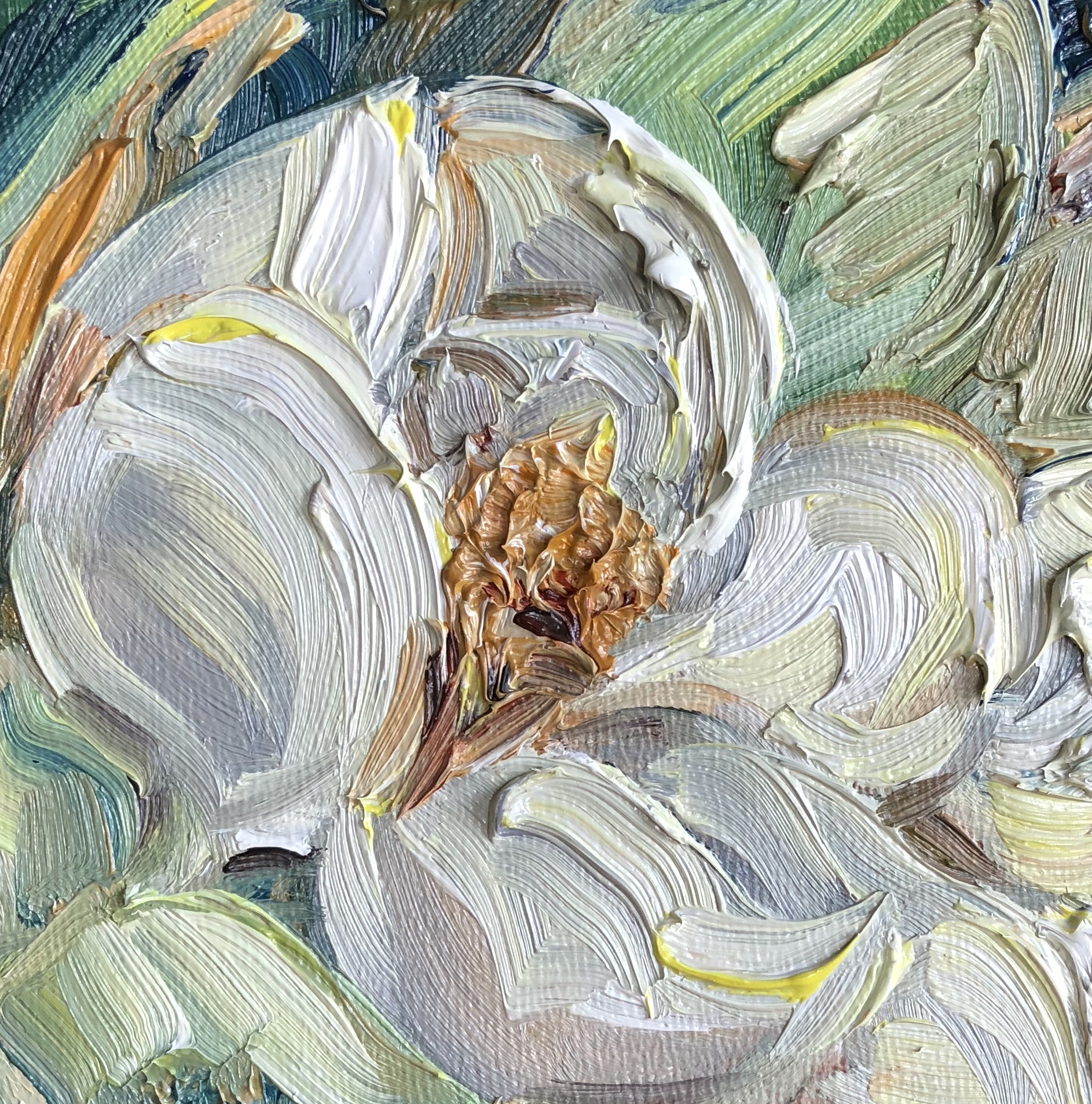 Summer Magnolia, 4" x 4", oil on panel