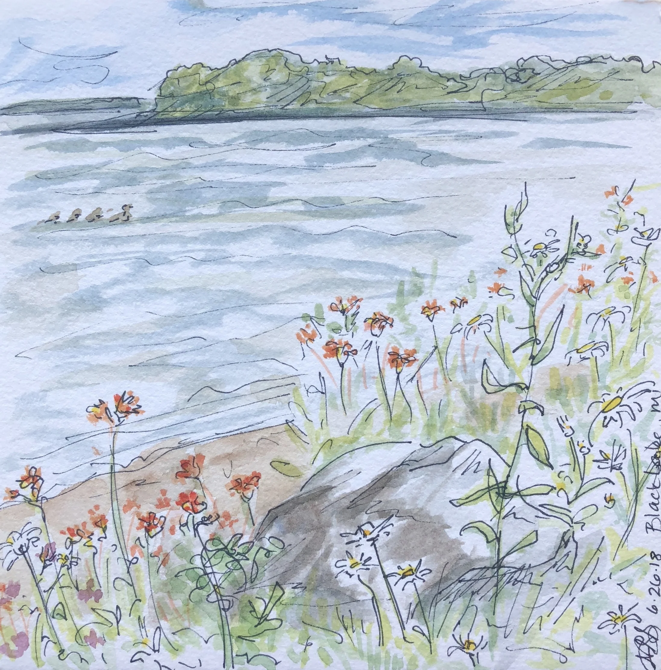 Black Lake, Michigan with Wildflowers watercolor