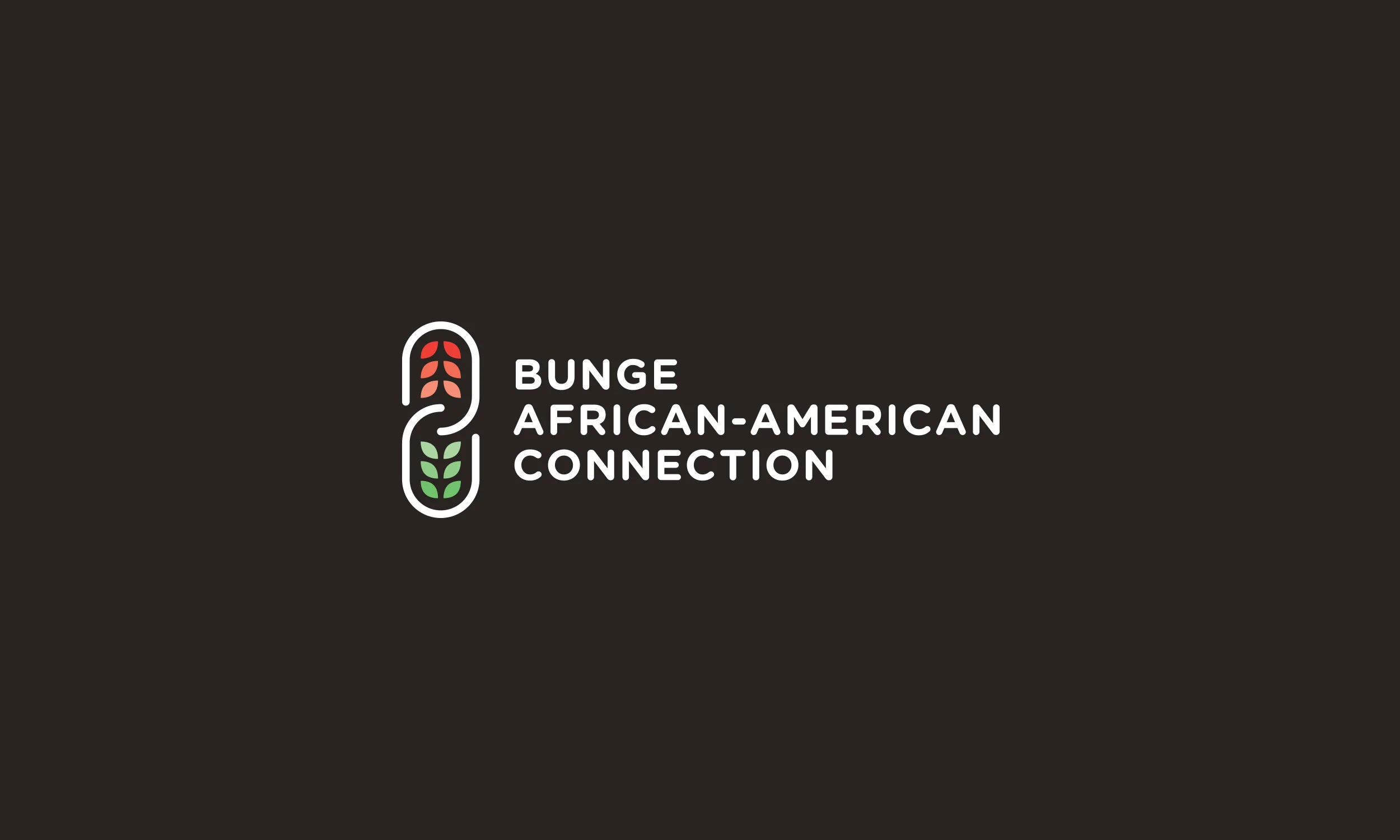DAVID_ILLIG_Logos_0010_Bunge AA Connection.jpg