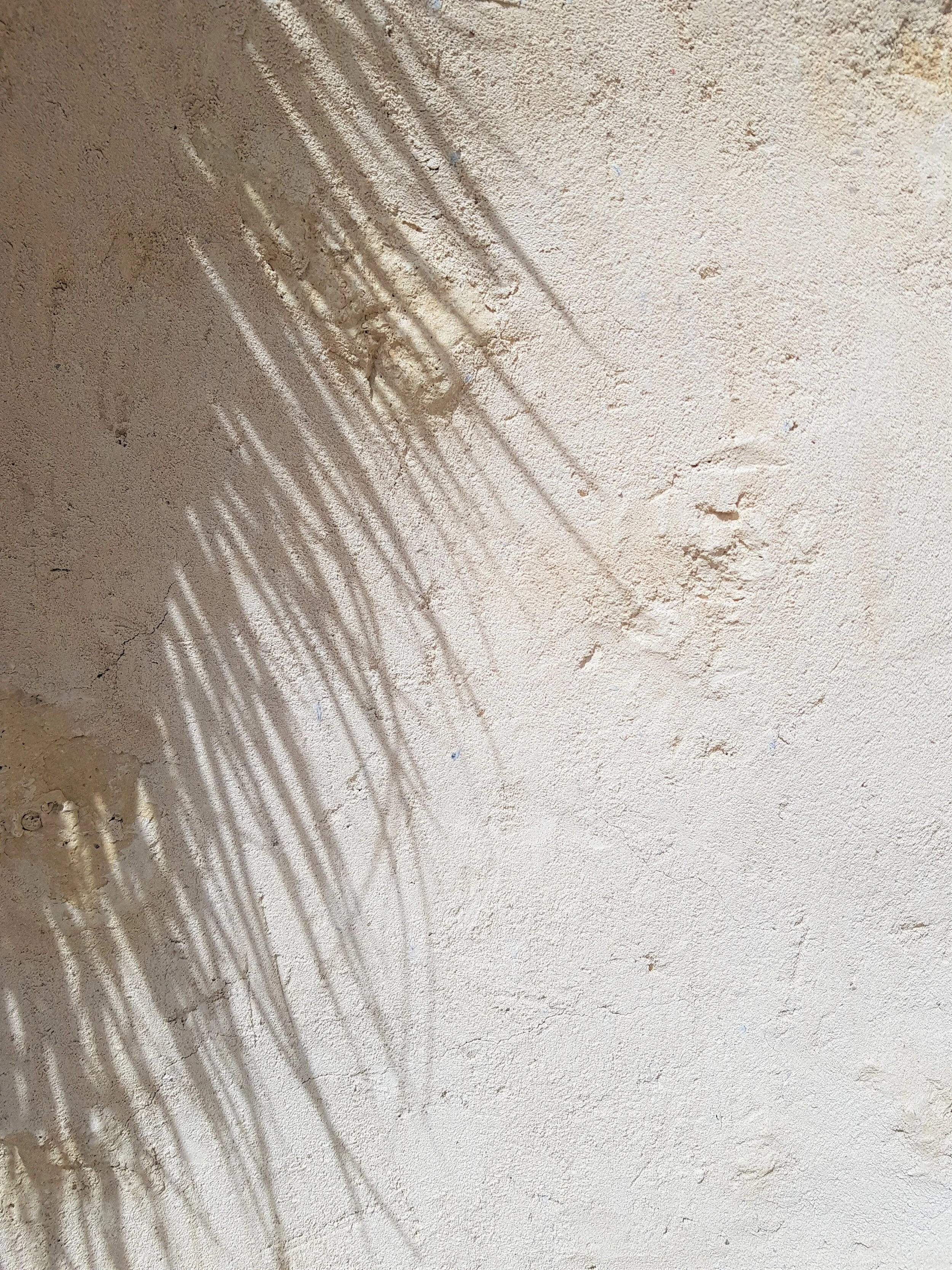 0.3 PHOTO SECONDAIRE.jpg