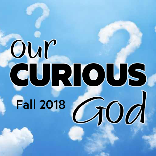 November 11, 2018: "Who do you say I am?"