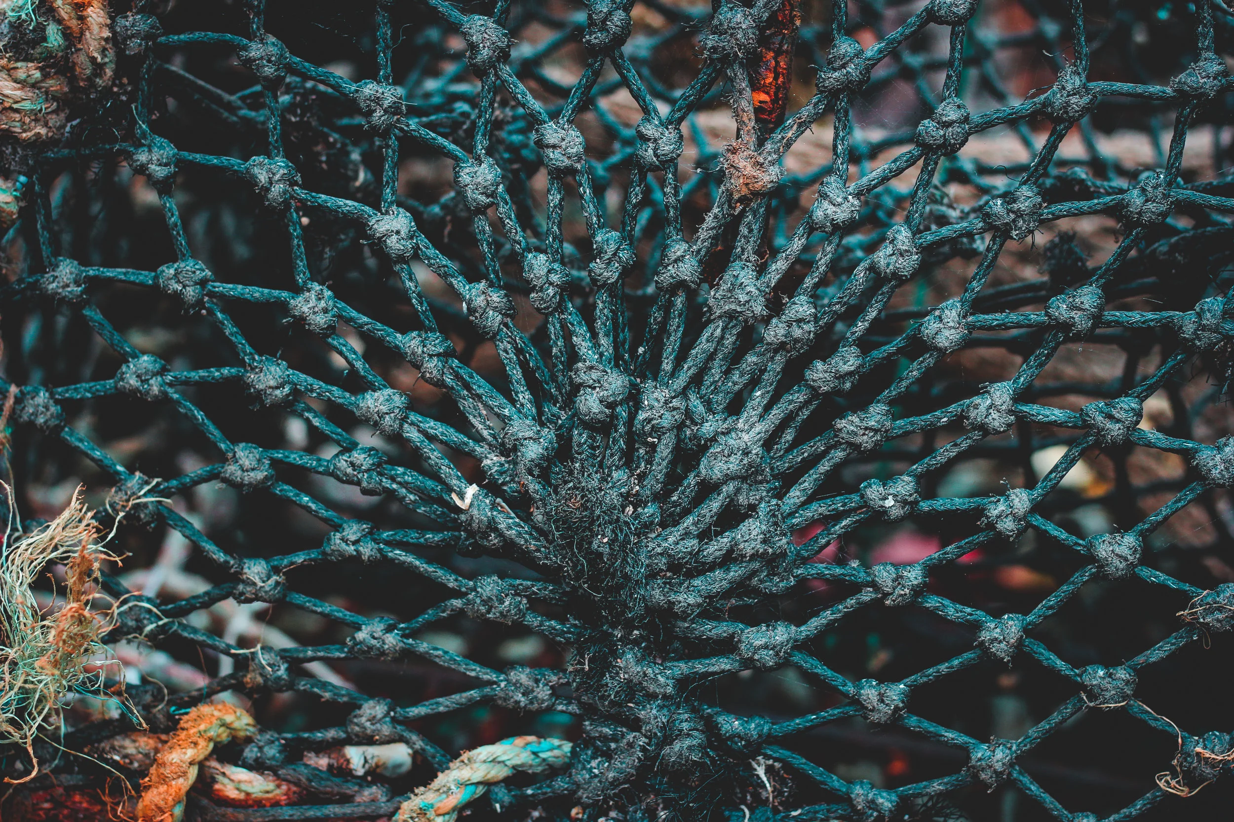 May 5, 2019:  "Nothing But Net"