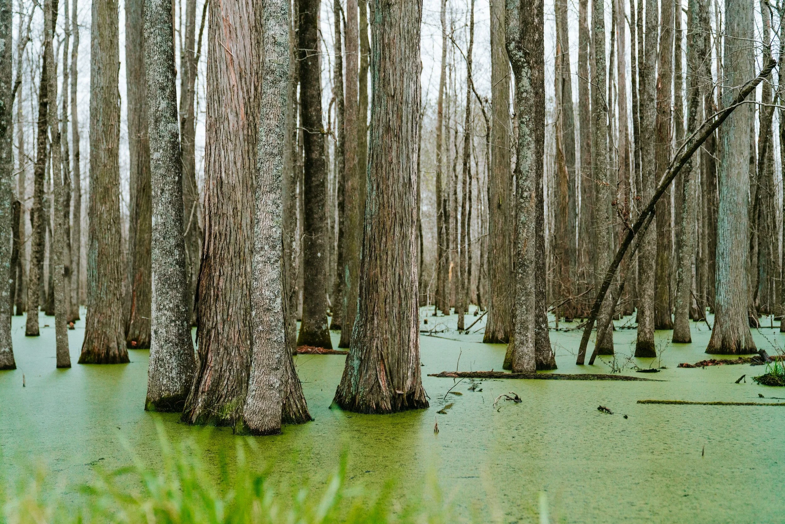 In the Ooze, Exodus 1:8-2:10, 8/27/23