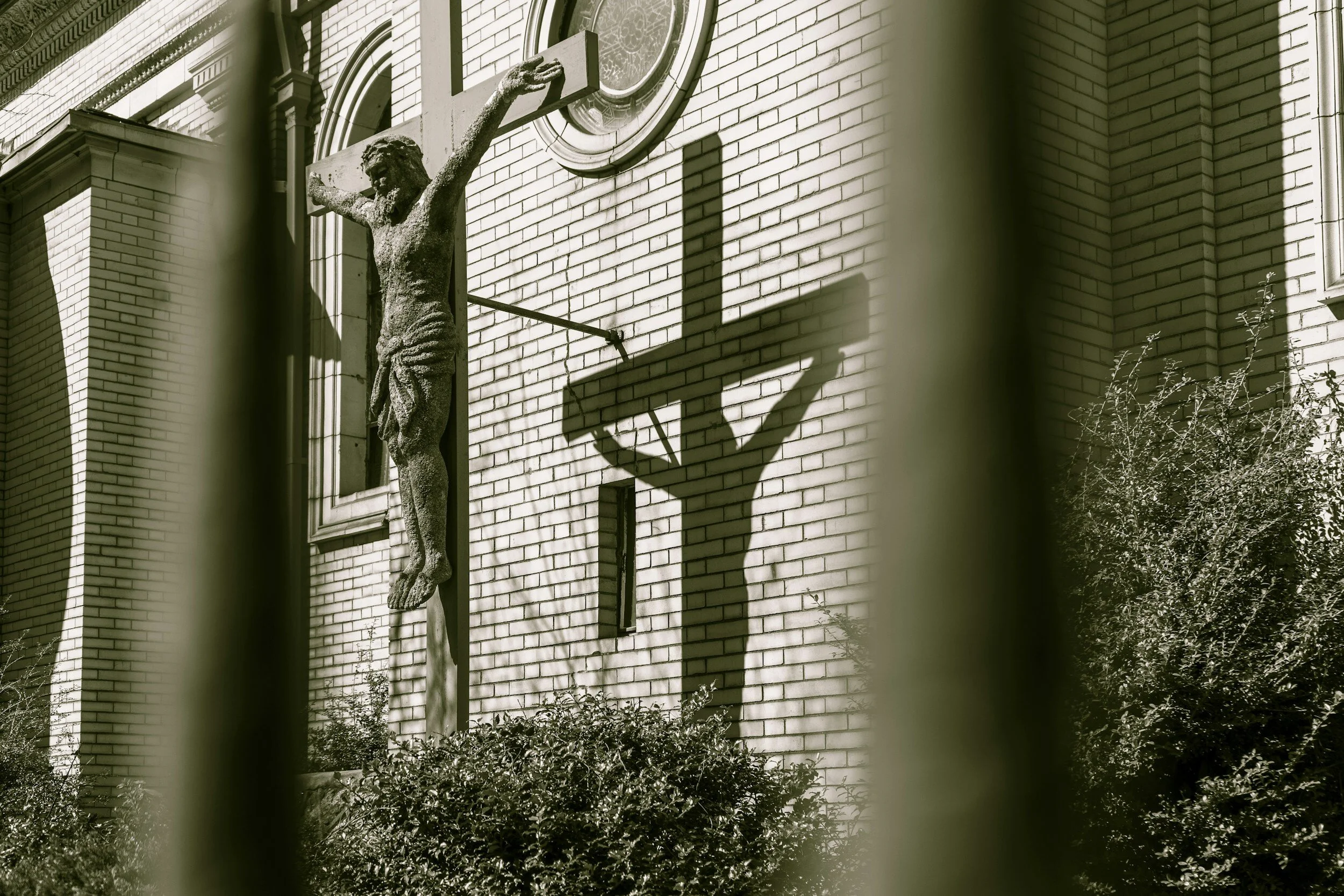 Life in the Shadow of the Cross: From the Water to the Wild. Mark 1:9-13. 02/18/2024