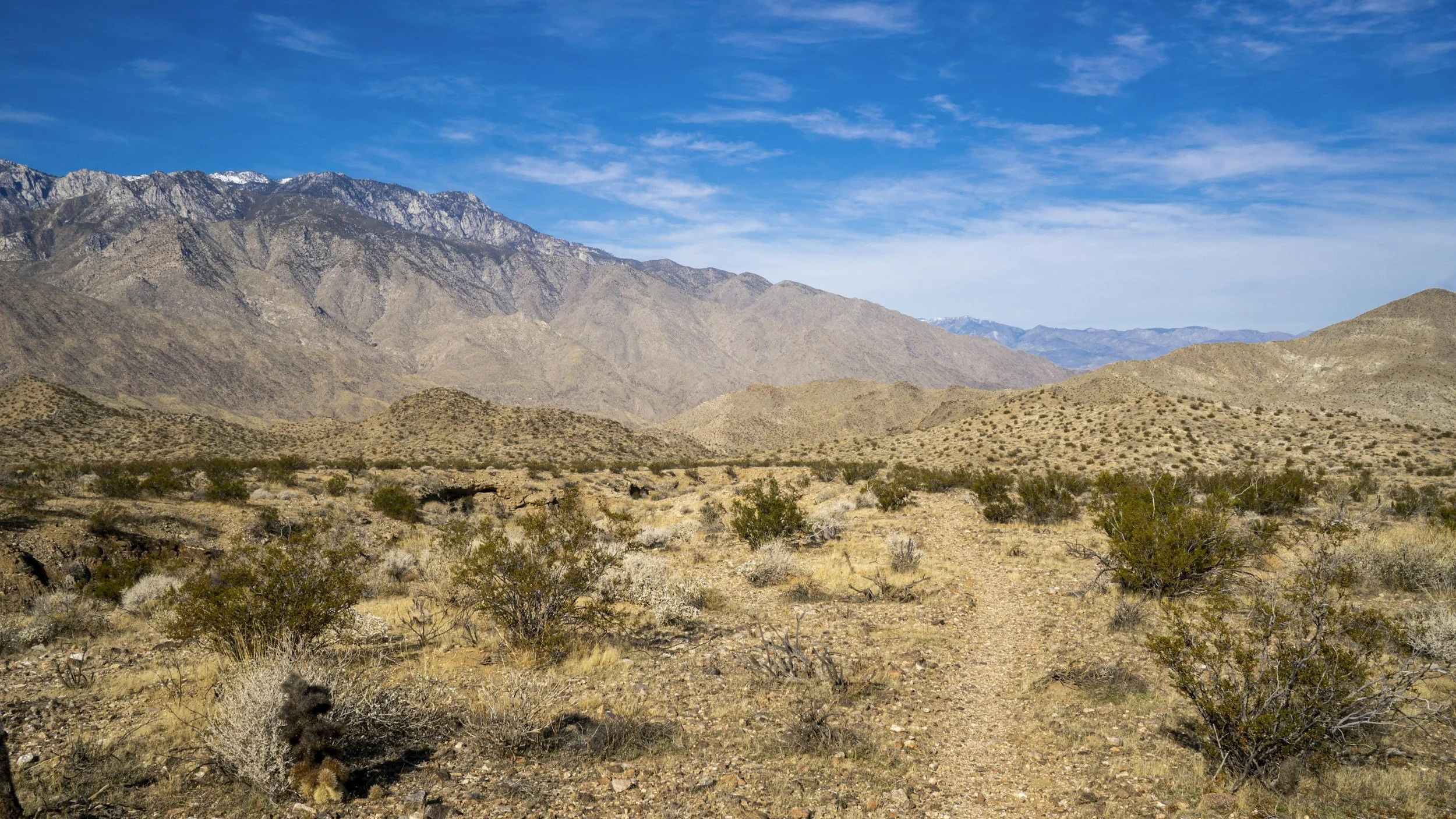 Into the Wilderness Luke 4:1-13 Rev. Dr. Rhonda Abbott Blevins March 9, 2025