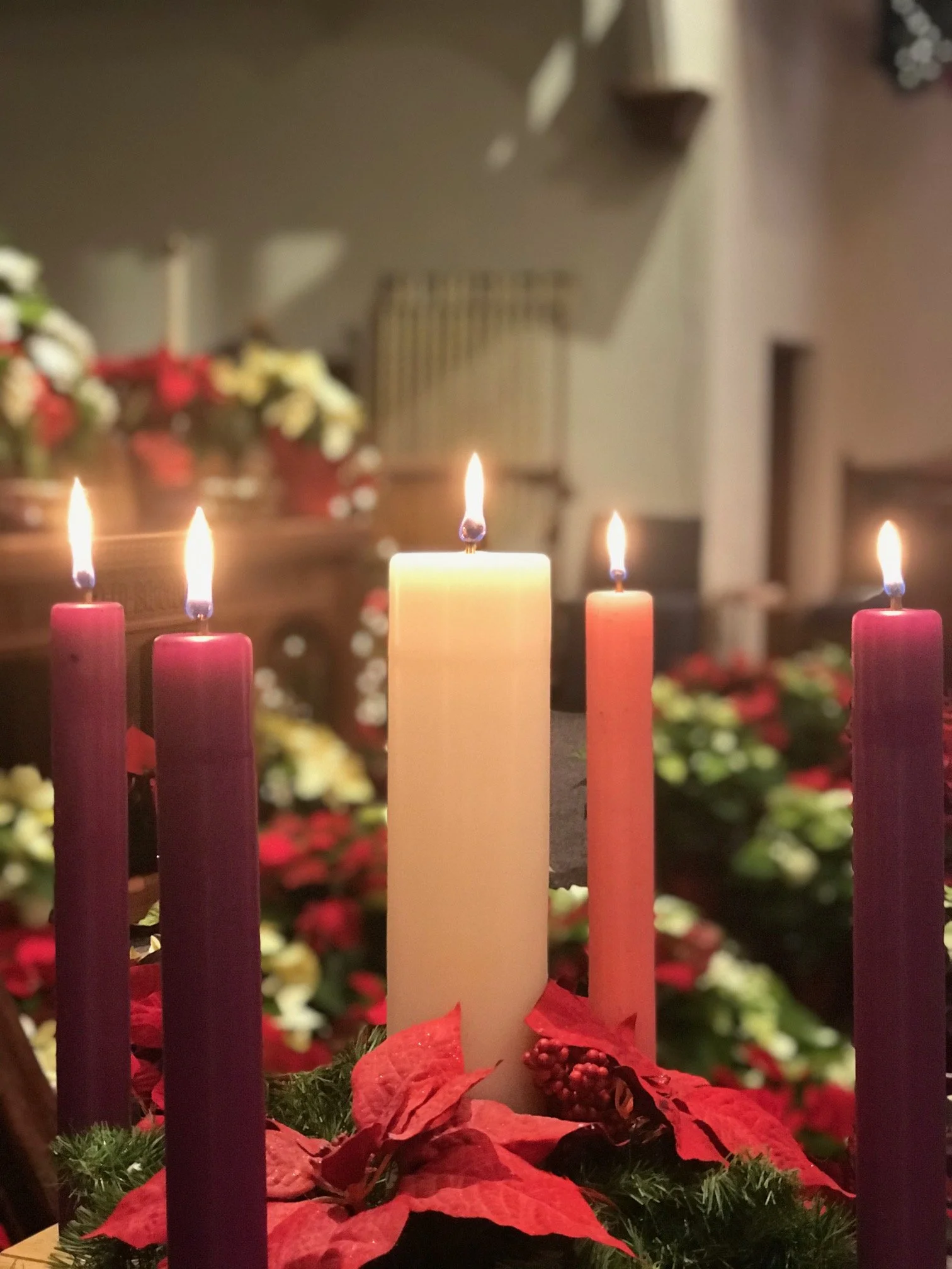 Carols by Candlelight 