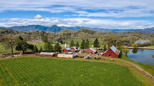 Marietta Cellars and McDowell vineyards #mariettacellars #italianwines #winecountry #mendocino #sonoma #wine #vino #vineyards #bottleshock #hopland #geyserville #dronestudios @mariettacellars @bottleshock.kr