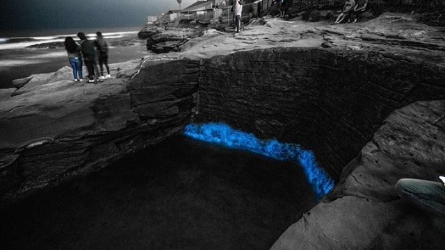 The dinoflagellates come to life at night illuminating San Diego&rsquo;s coastline during this &ldquo;red tide&rdquo; event #redtide #bioluminescence #dinoflagellates #sandiego #sandiegoredtide #2020