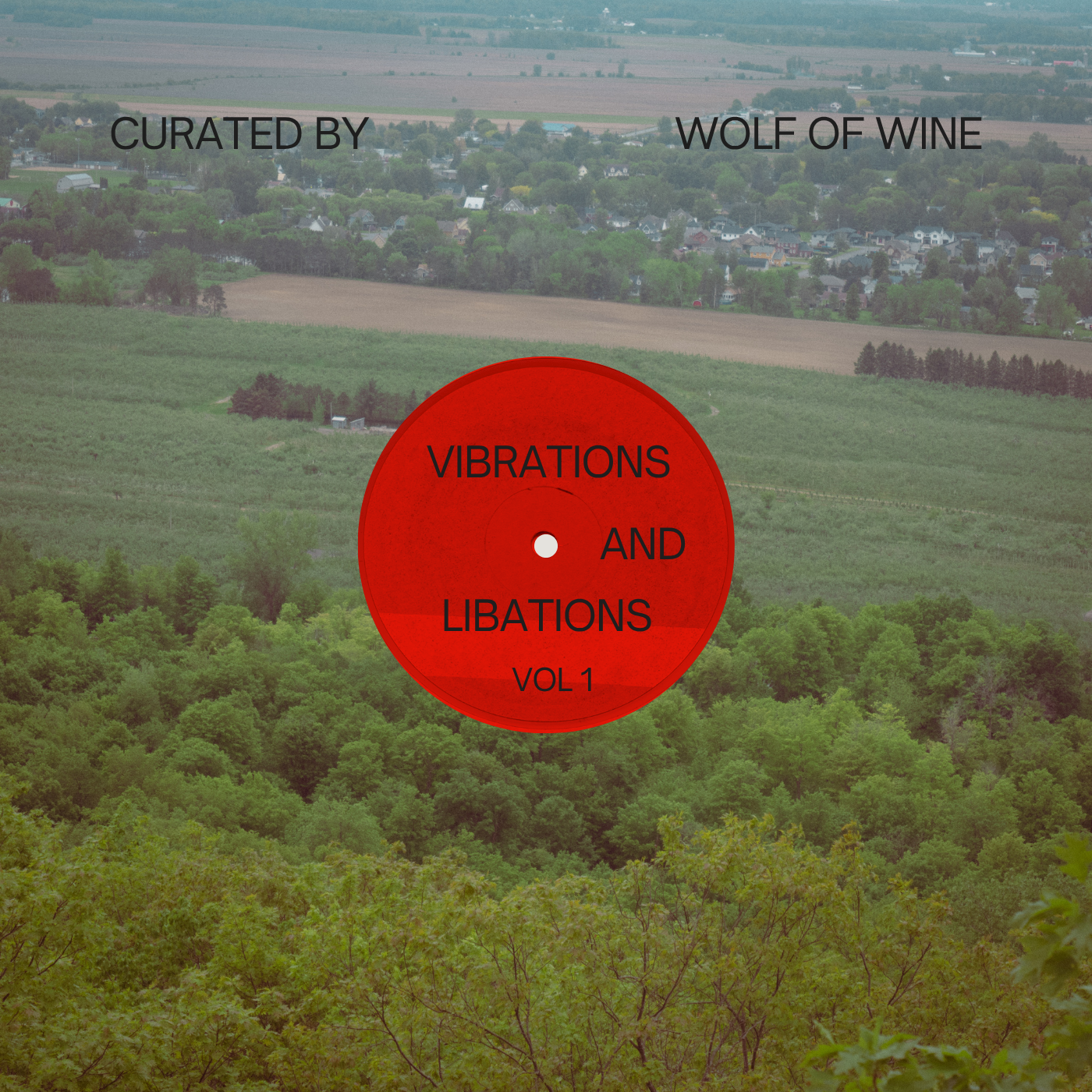 Vibrations and Libations Vol 1 