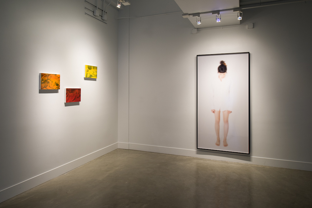   Eva Schlegel: Solo Exhibition , installation view, Gallery Wendi Norris, San Francisco, CA, November 6 — December 20, 2014, Photographer: JKA Photography 