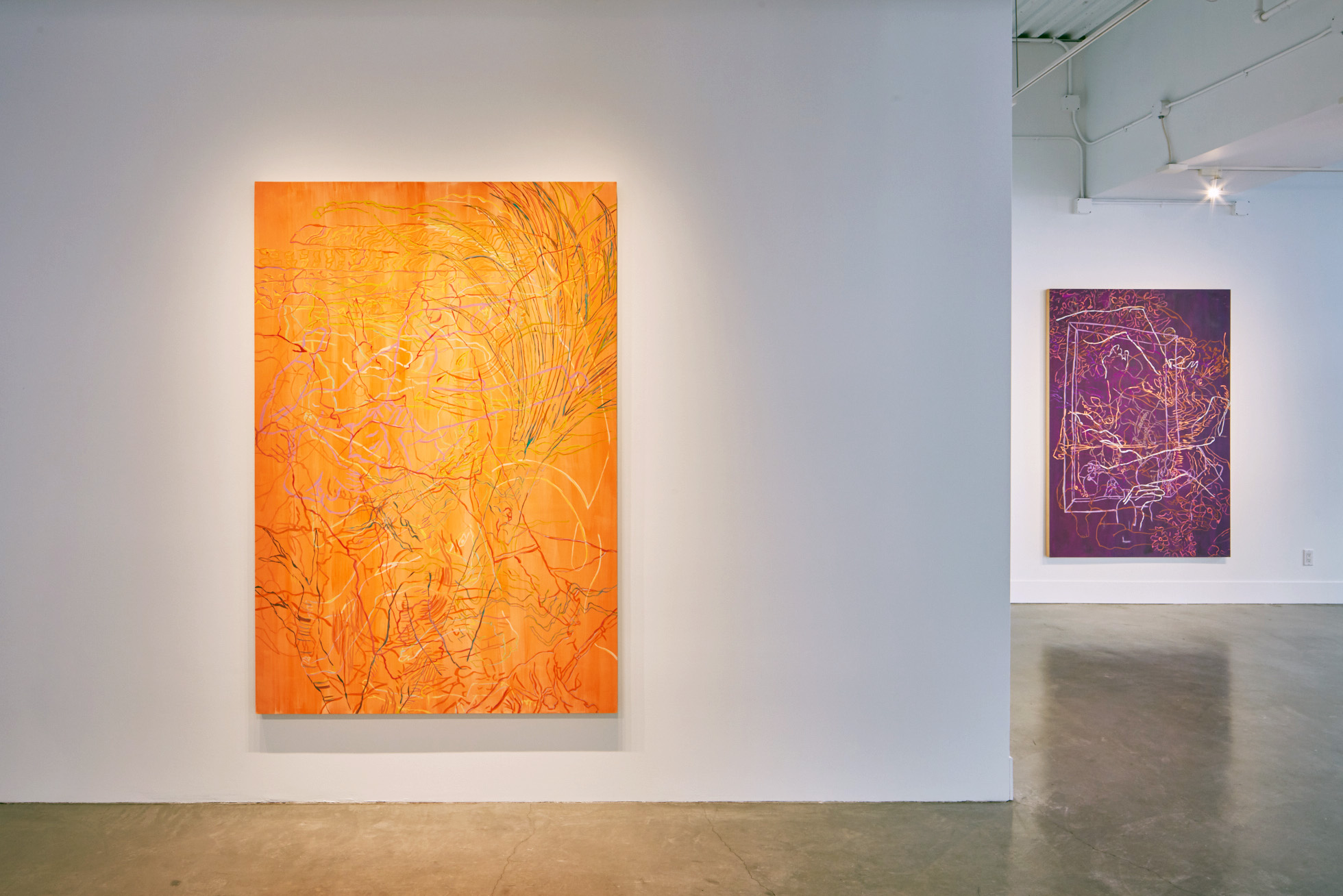 Ranu Mukherjee: Shadowtime , 2017, installation view, Gallery Wendi Norris, San Francisco, May 18 - July 8, 2017, photography: JKA Photography