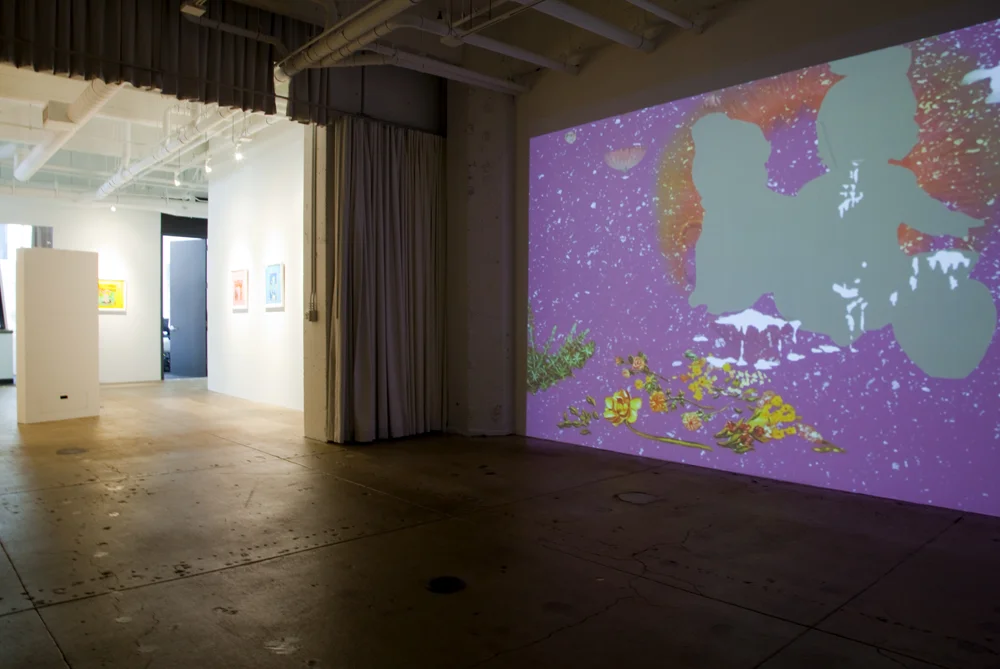 Ranu Mukherjee: Absorption into the Nomadic and Luminous, installation view, Gallery Wendi Norris, San Francisco, CA, June 4 — July 30, 2011