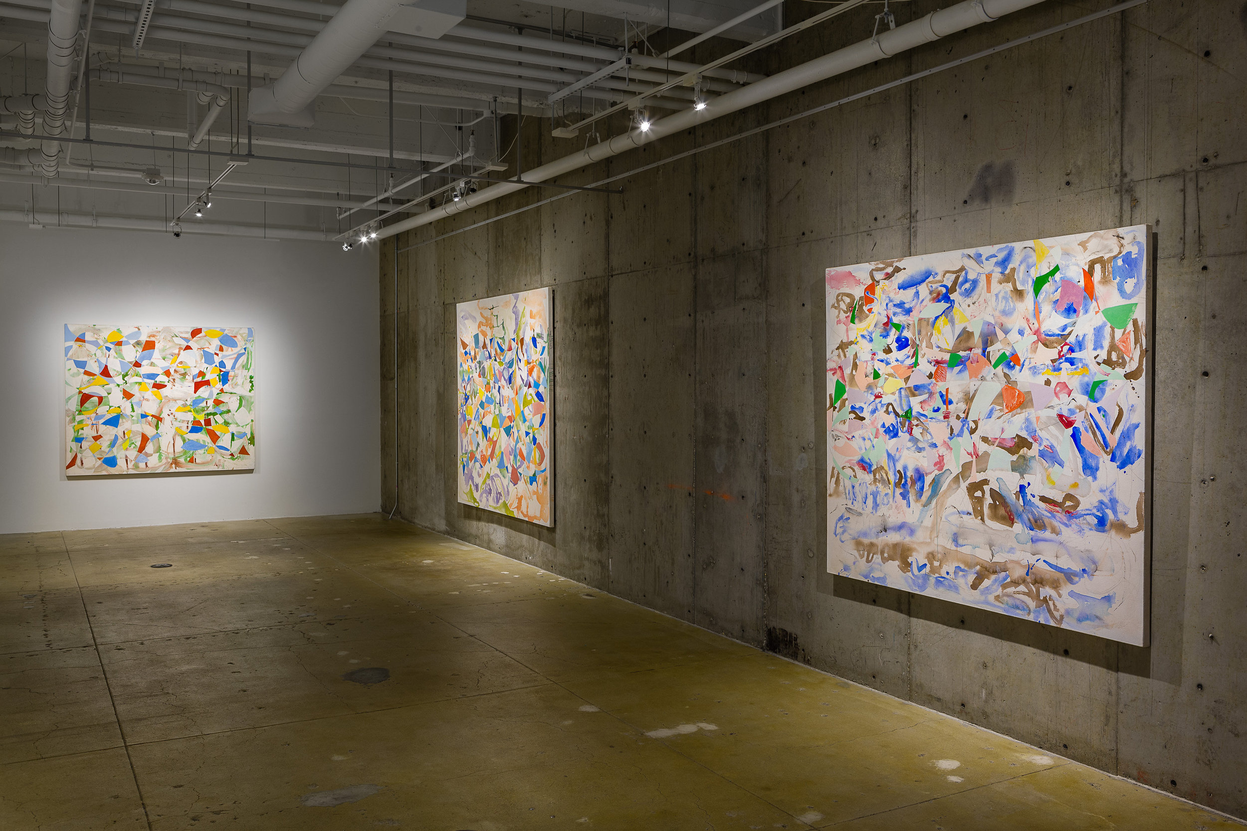   Peter Young: Ellipse Paintings , installation View, Gallery Wendi Norris, San Francisco, CA, September 8 – November 4, 2016, Photography: Byan Hewitt 