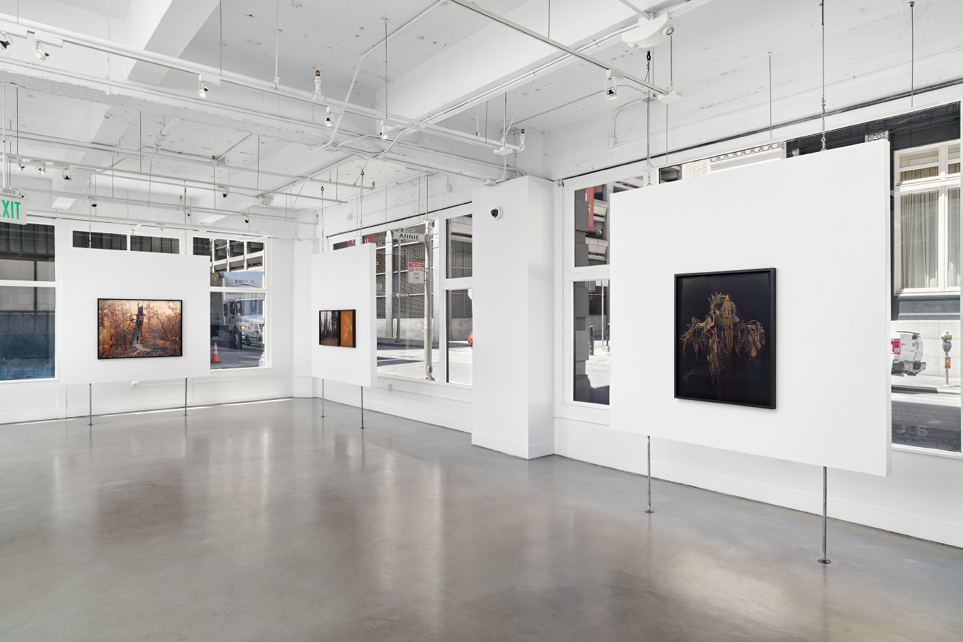   Christine Elfman: Even Amaranth , installation view, Gallery Wendi Norris, San Francisco, CA, July 14 — September 3, 2016, photography: John Janca 
