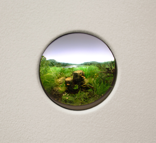   Patrick Jacobs,   Double Stump with Red Banded Brackets,  2013, Styrene, acrylic, cast neoprene, paper, ash, talc, starch, polyurethane foam, acrylite, vinyl film, wood, steel, lighting, BK7 glass, Diorama viewed through 2 in. (5 cm) window, 11 1/4