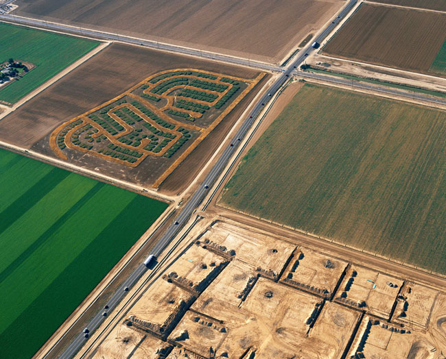  Matthew Moore,    Rotations: Moore Estates 3,  2006, 35 acre project, sorghum, wheat, C-print, 49 1/2 x 61 1/2 inches (125.8 x 156.3 cm), Edition of 7    