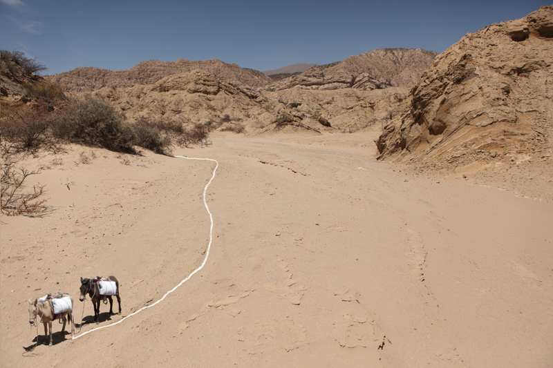 Miguel Angel Ríos, Taking a Break, 2014, color print, 19 1/2 x 13 inches (50 x 33 cm)