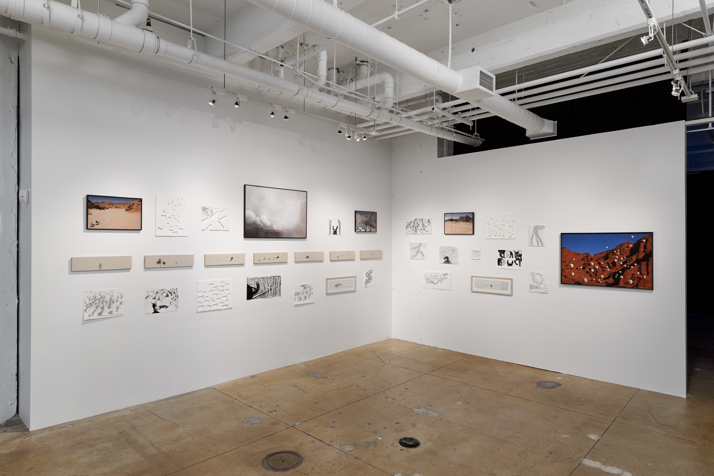   Miguel Angel Ríos: A Trilogy,  installation view, Gallery Wendi Norris, San Francisco, CA, April 28 - July 5, 2016, photography: John Janca 