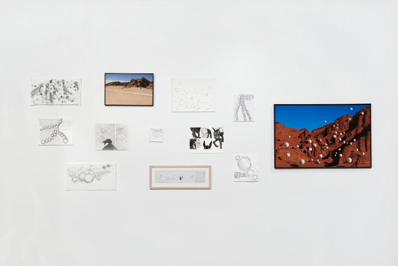   Miguel Angel Ríos: A Trilogy,  installation view, Gallery Wendi Norris, San Francisco, CA, April 28 - July 5, 2016, photography: John Janca 