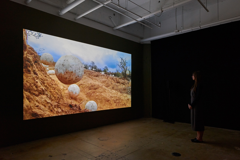 Miguel Angel Ríos: A Trilogy, installation view, Gallery Wendi Norris, San Francisco, CA, April 28 - July 5, 2016, photography: John Janca