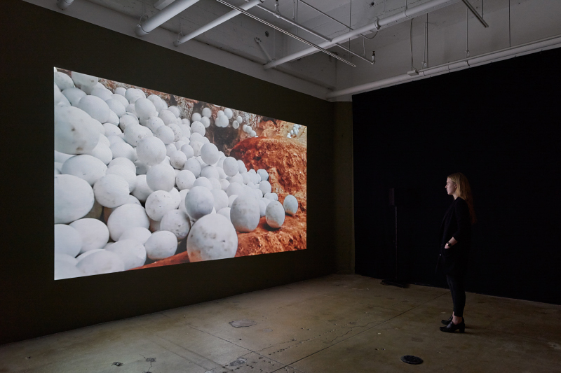Miguel Angel Ríos: A Trilogy, installation view, Gallery Wendi Norris, San Francisco, CA, April 28 - July 5, 2016, photography: John Janca