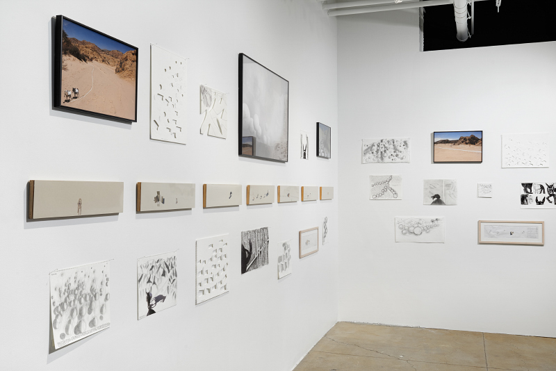   Miguel Angel Ríos: A Trilogy,  installation view, Gallery Wendi Norris, San Francisco, CA, April 28 - July 5, 2016, photography: John Janca 