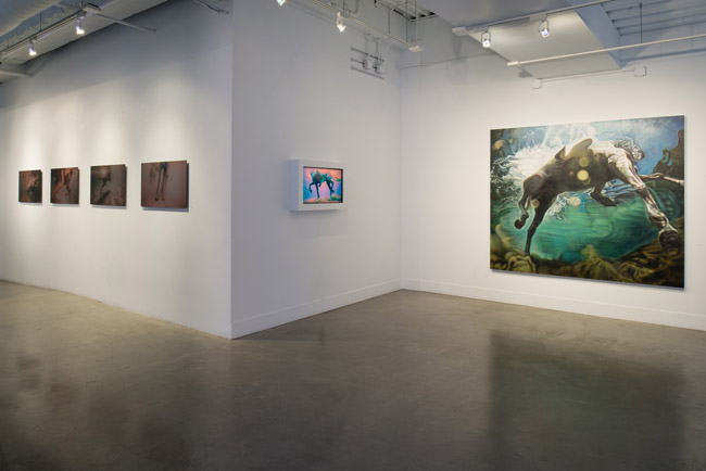   Ana Teresa Fernánde:, Foreign Bodies,  installation view, Gallery Wendi Norris, San Francisco, CA, April 3 – May 31, 2014, Photographer: JKA Photography 