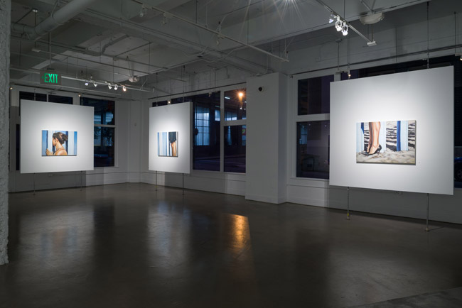   Ana Teresa Fernánde:, Foreign Bodies,  installation view, Gallery Wendi Norris, San Francisco, CA, April 3 – May 31, 2014, Photographer: JKA Photography 
