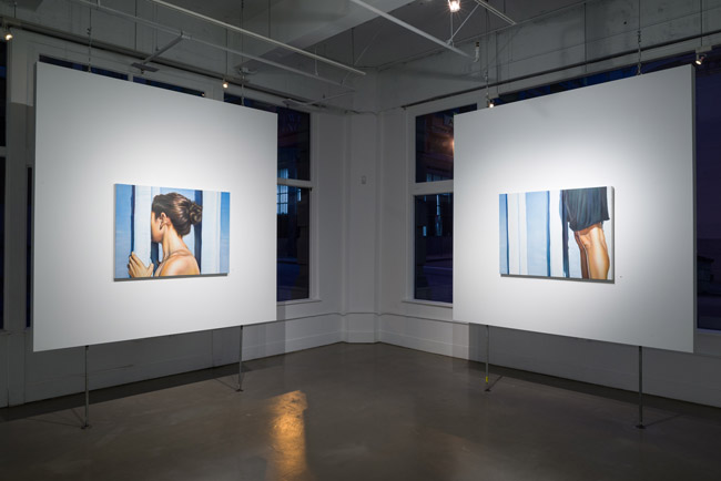 Ana Teresa Fernánde:, Foreign Bodies, installation view, Gallery Wendi Norris, San Francisco, CA, April 3 – May 31, 2014, Photographer: JKA Photography