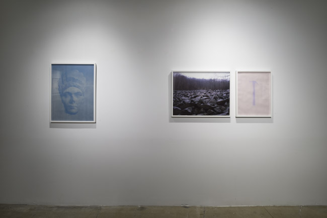   Christine Elfman: Fix and Fade , installation view, Gallery Wendi Norris, San Francisco, CA, June 5 — August 2, 2014, Photographer: JKA Photography 