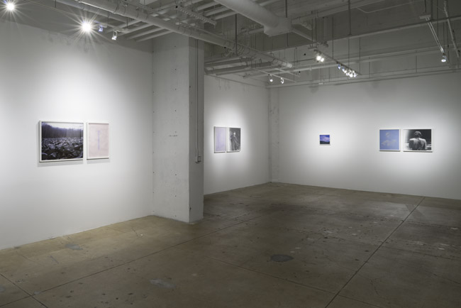Christine Elfman: Fix and Fade , installation view, Gallery Wendi Norris, San Francisco, CA, June 5 — August 2, 2014, Photographer: JKA Photography