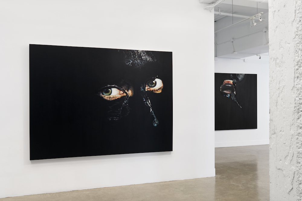   Ana Teresa Fernández: Erasure,  installation view, Gallery Wendi Norris, March 10 - April 16, 2016, photography: John Janca 